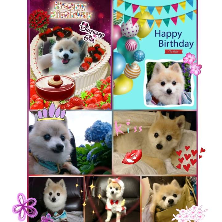 379d1c07 6f27 4c6e bbbd 9a56e0acd45e 1528814676844