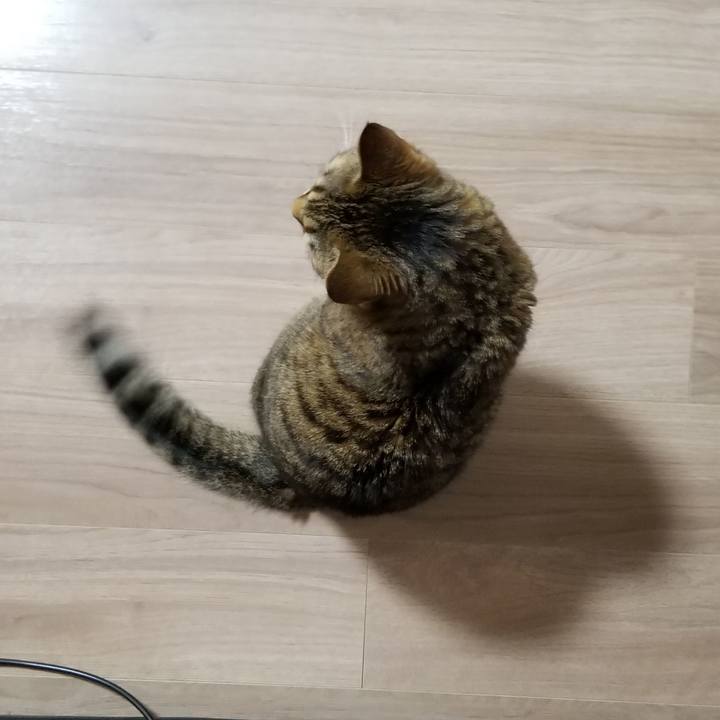 379d2fa5 f373 47c6 aa38 bd1b52457a87 1614202551459