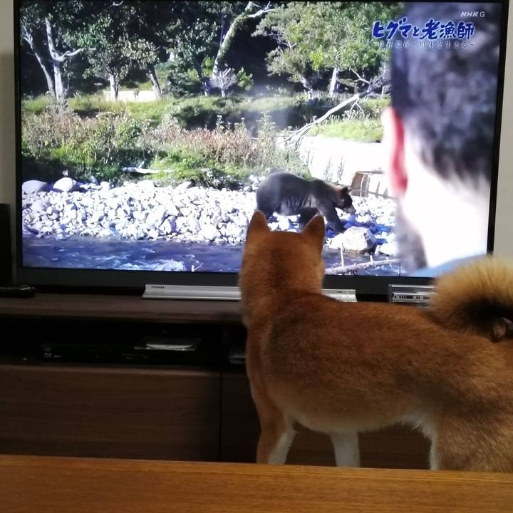 379d3208 bdaa 4004 8a8e 749a1eb4fa78 1595472613398