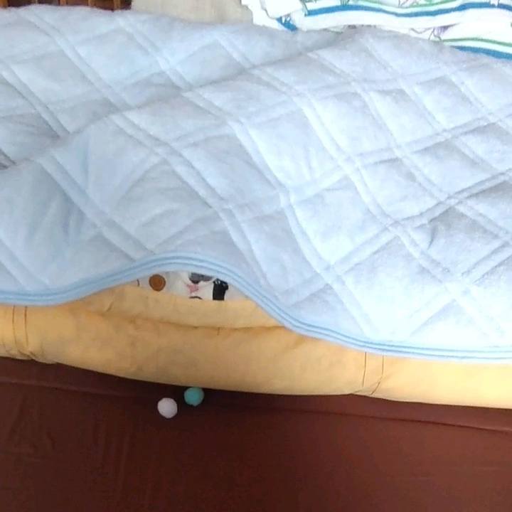 379d9444 1783 4d04 936a bfc4d52dab78 1651466021541