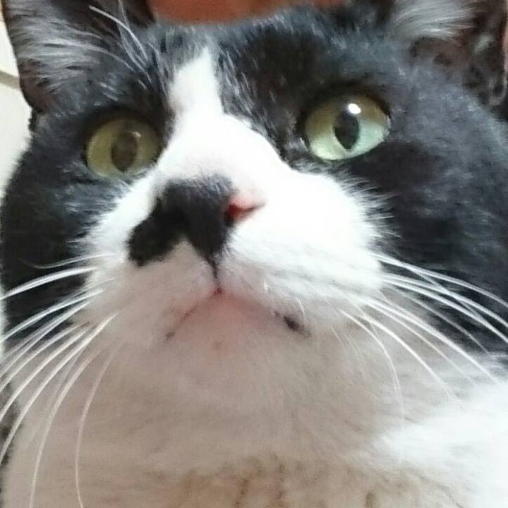 379db172 aeaf 42b2 bc64 886f727386e1 1511581534683