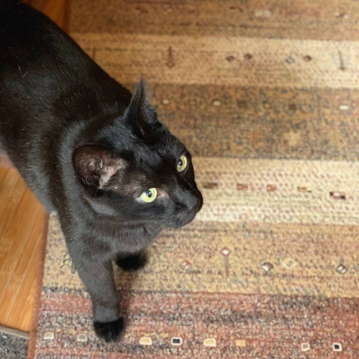 379db585 cacf 4192 9be9 d131197b5943 1589331934491