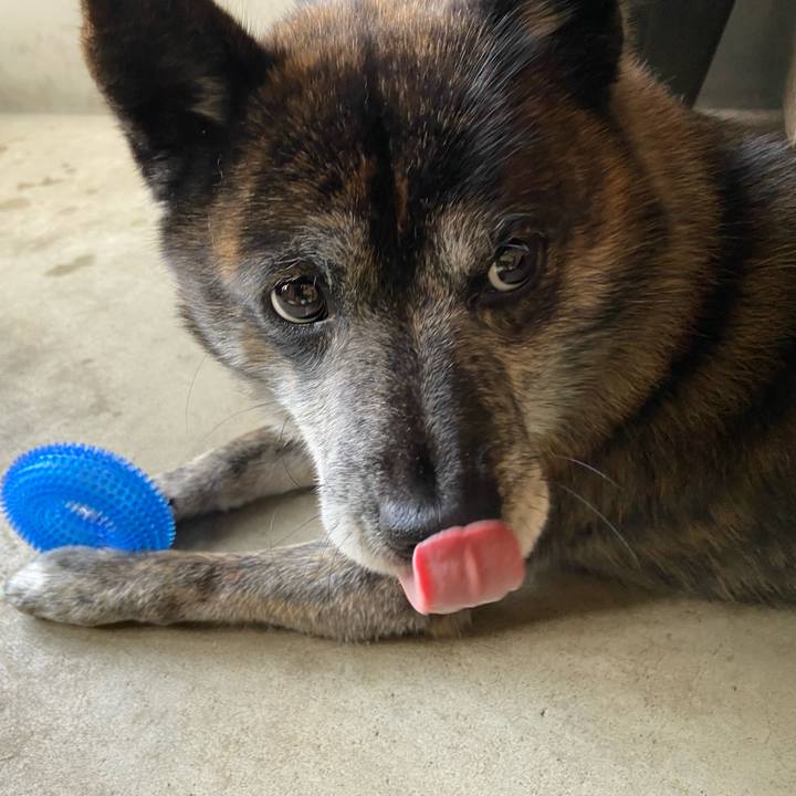 379dc95b 984e 45fc a6a3 90c69cb175b2 1640836358422