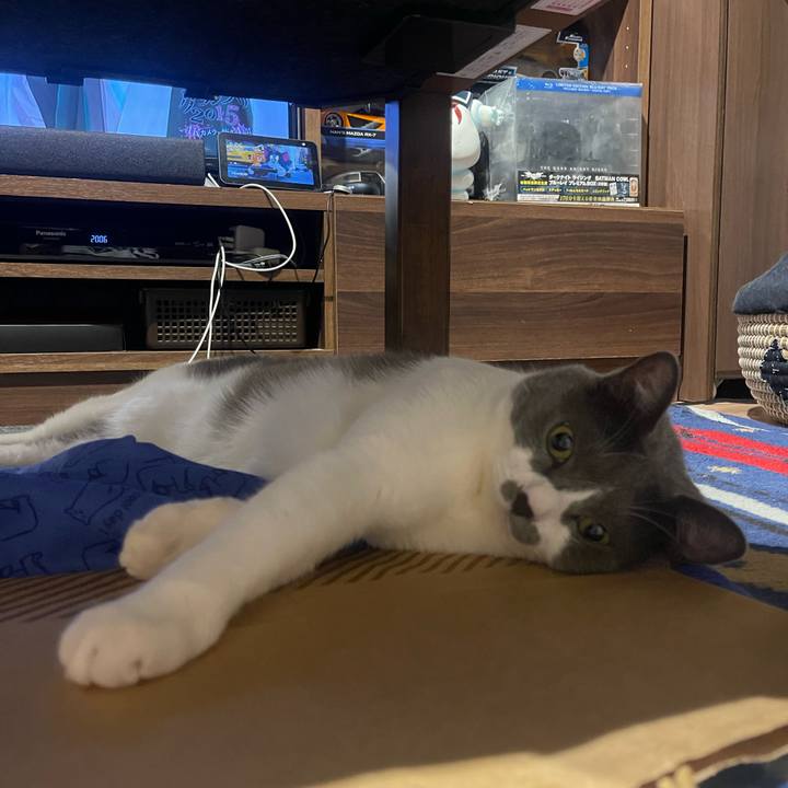 379df197 4c46 42de a3fa 38dcfcc36c05 1690196861456