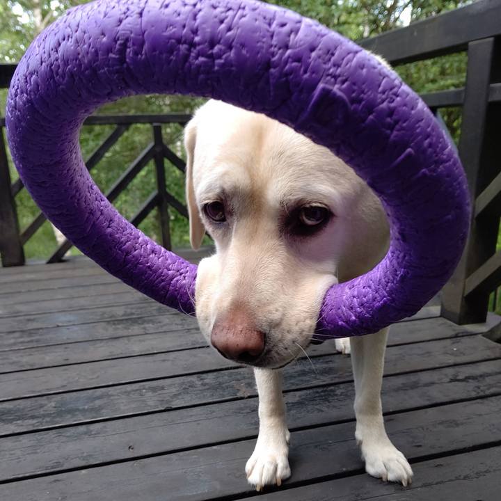 379df51a 65df 4569 b0d1 f5f7f1cb0a98 1688563517393