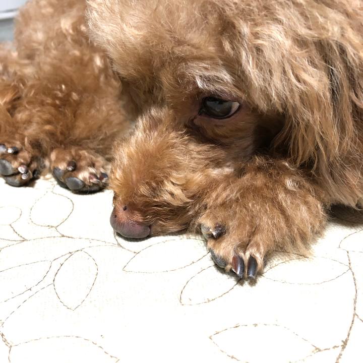 379e01f2 48a3 4959 bfc9 e41329d36e49 1599883451543