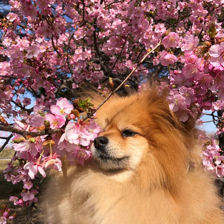 379e38fb 4d72 4f7d 86ea 53548892efd6 1614431061163