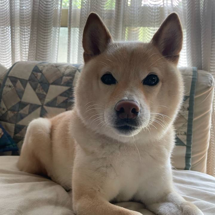 379e51c6 771f 436e aecf 73f0711e5c97 1688000444158