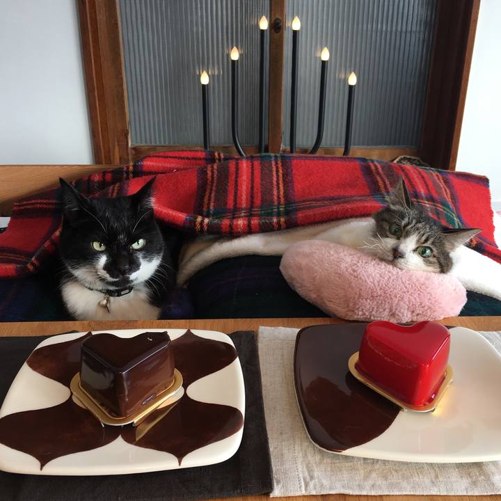 379e8ef3 de38 47f0 8907 3c0d3d56185e 1518538745920