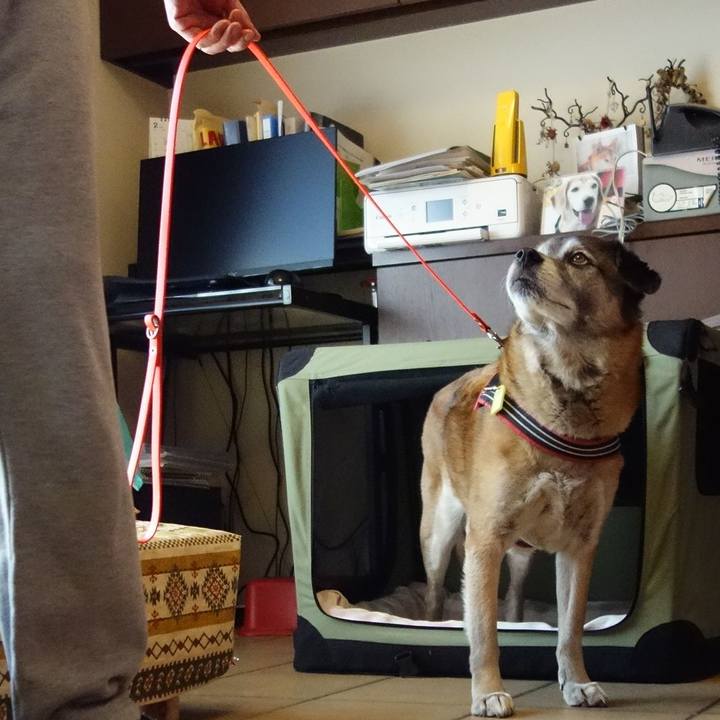 379e9939 5aac 4090 904d 7df4d5be1e90 1551506190397