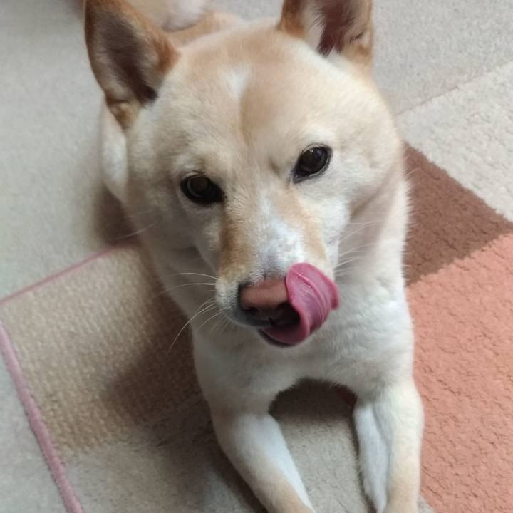 379ec555 b2a6 4b6a b73c 9a7b5827ad4e 1582634604502