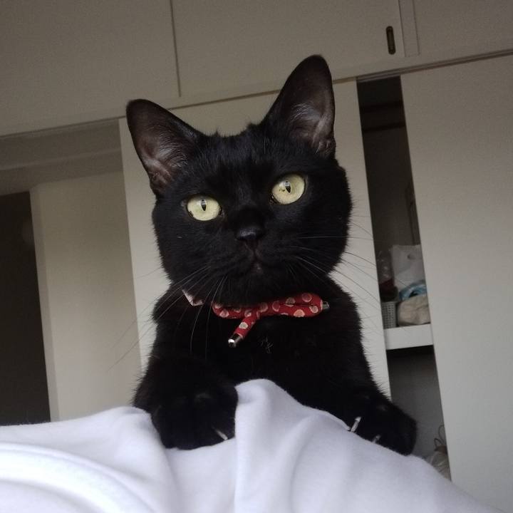 379ece39 0f0b 4bb9 af4d 9c2fcc49d026 1683012191982