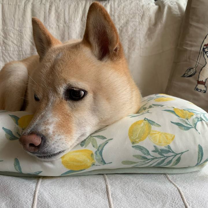 379ef2bb c63e 4735 9302 81cbfe76455a 1631753322381