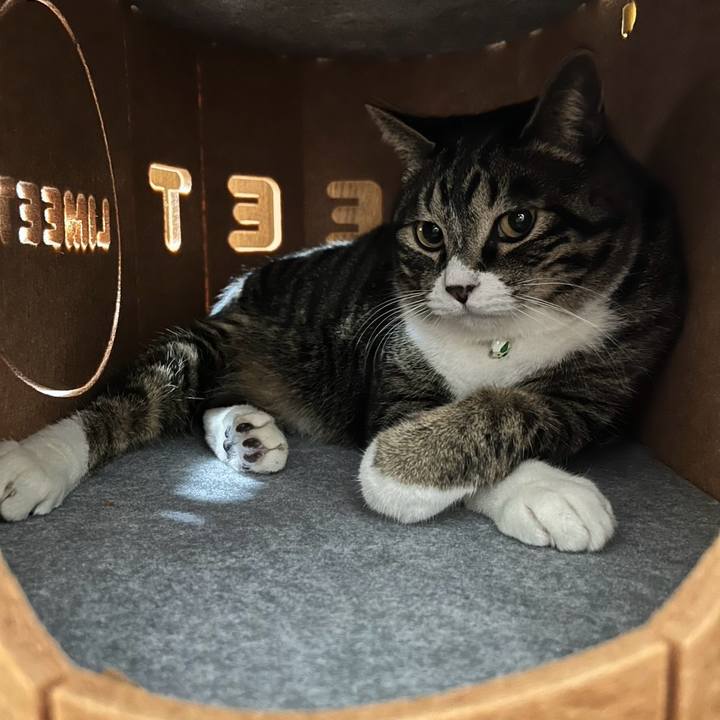 379f390a d244 43cc 9e93 8477e8c8d122 1773360317594