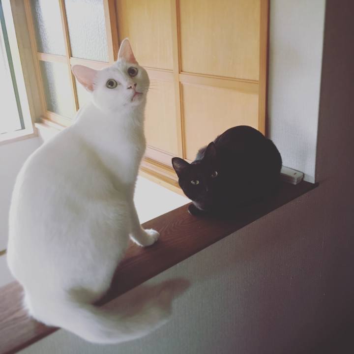 379f4bfb 50ee 44f0 a99d 4690d76ef2b8 1539178727194