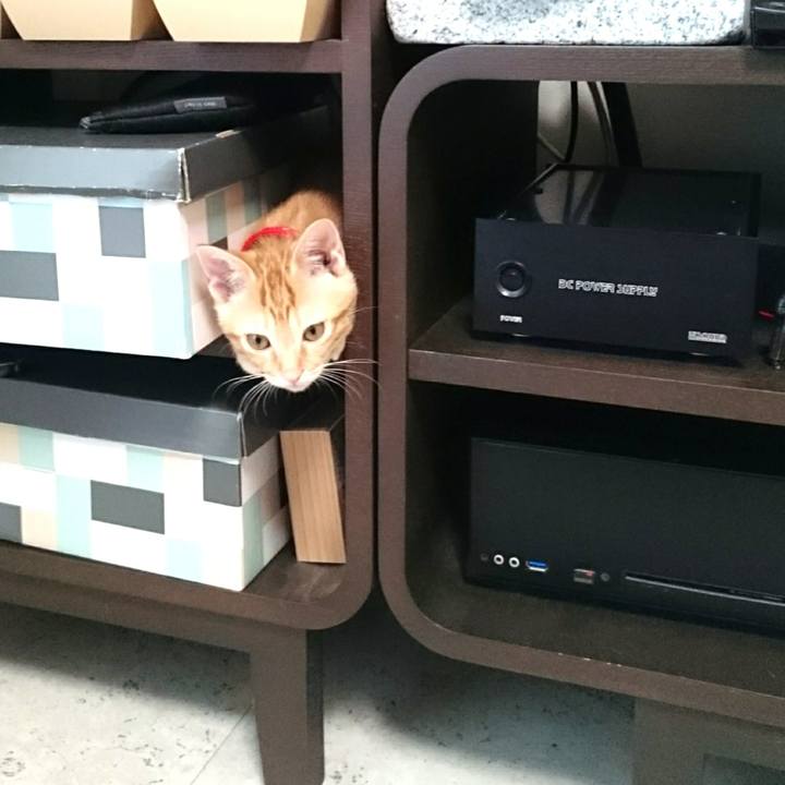 379f9043 8eb2 4434 a0e8 48783904eefa 1546866884694