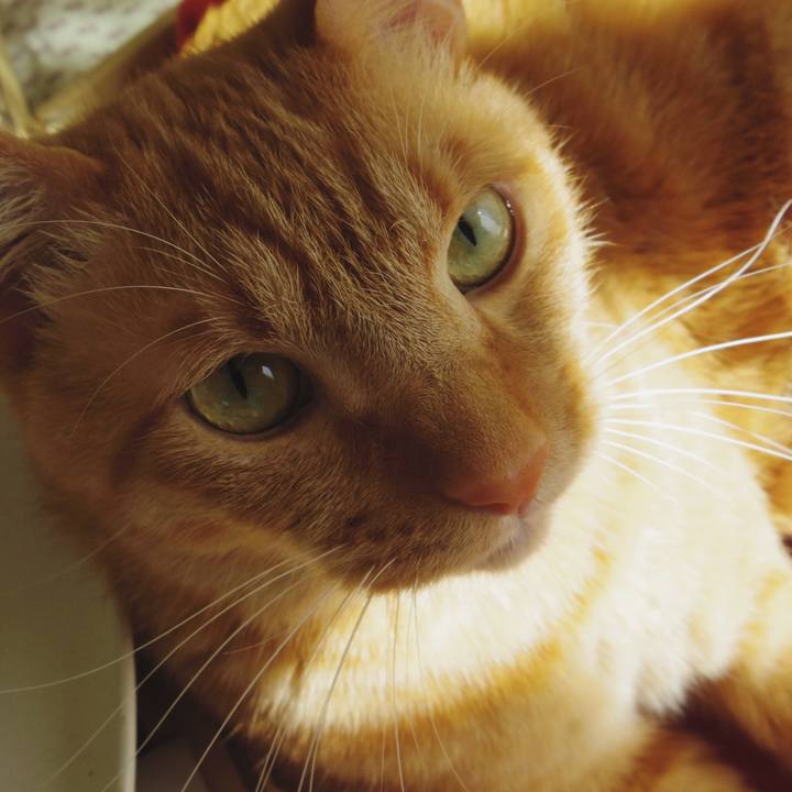 379fb529 4ed1 41df a0f0 c3311608abbe 1541804766170