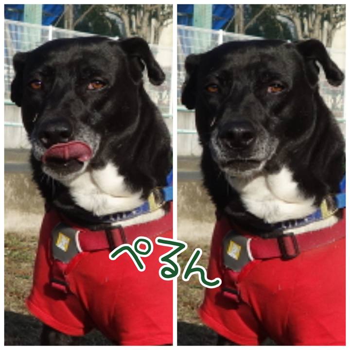 379feb0d c32c 4573 b950 19effee344ac 1676597736630