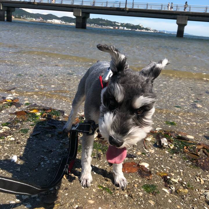 37a02e10 4959 4d5b a2fd 54467e56c548 1664015204718