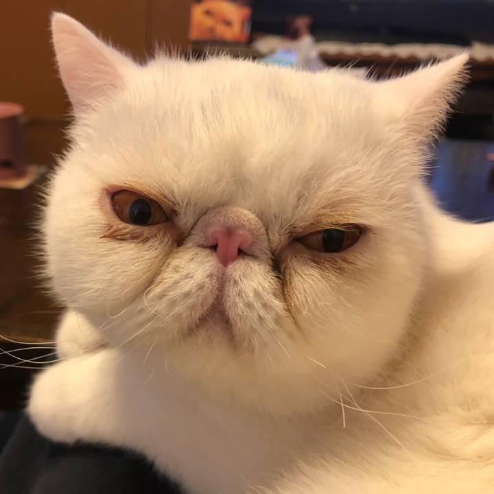 37a03eb4 bced 448c aac4 dd9685143395 1668842034934