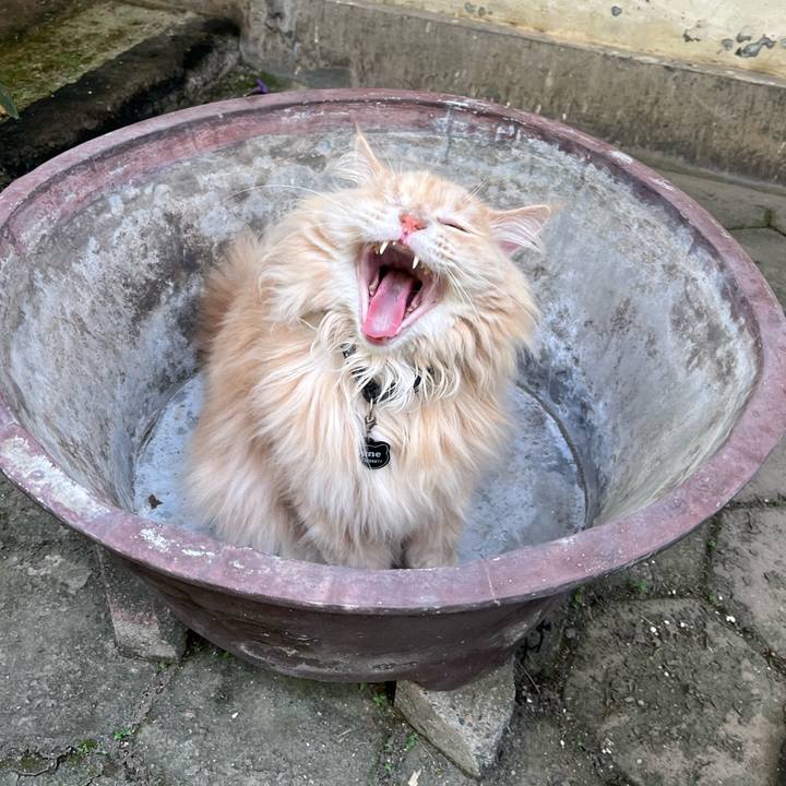 37a0506c bb71 4c5a bca8 c3b33198f4d2 1774092119122