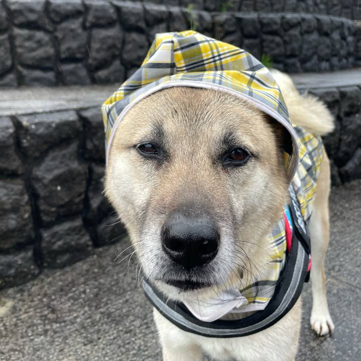 37a06e45 3a97 455f 8e6b 533804781b7a 1711189186838