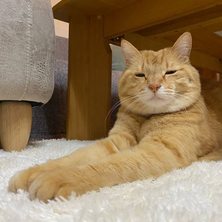 37a07ef1 1847 4921 bad7 2d1844173aa0 1648045648570