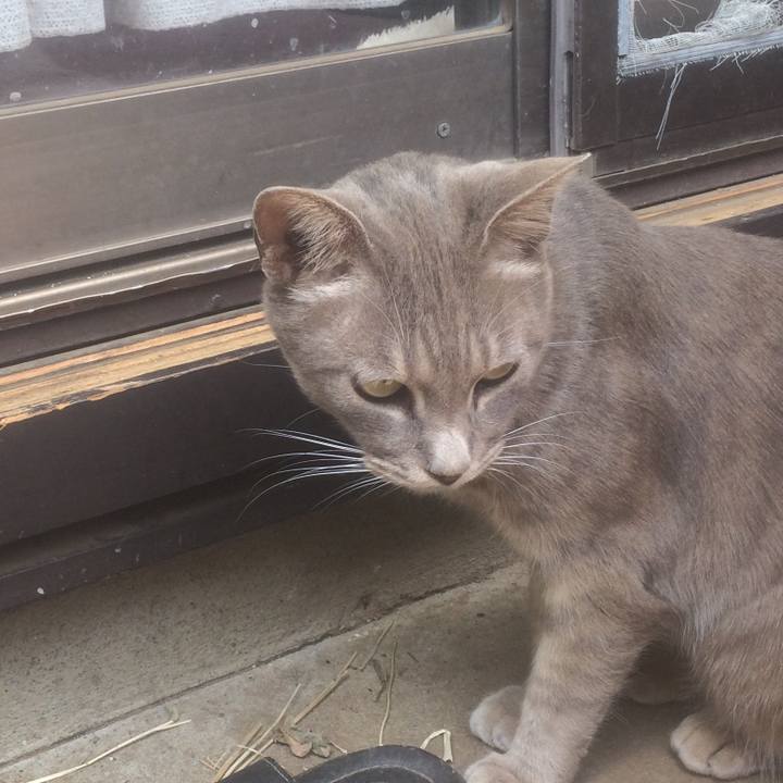 37a09c67 dcf6 40e8 b51c d4b05a4393a4 1556969873405