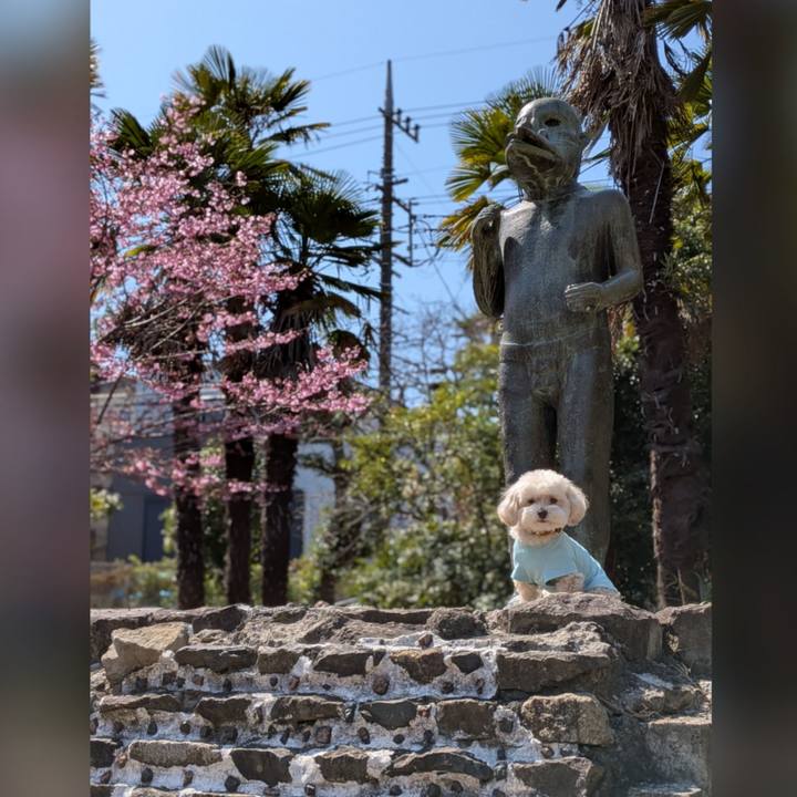 37a0d72b e0e9 4fa8 bbb7 91c0f487e948 1774102574140