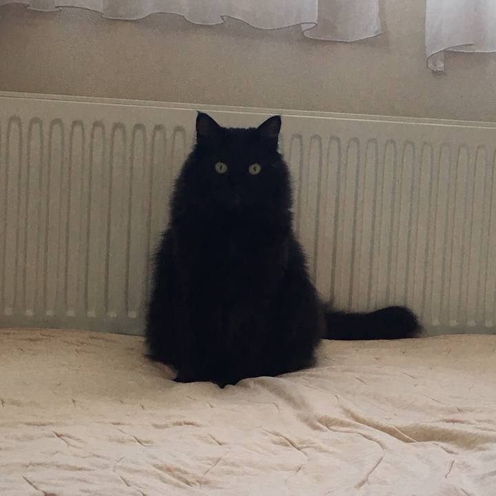 37a0e7fc ca3c 410b b92e e64cc86348dd 1557733832408