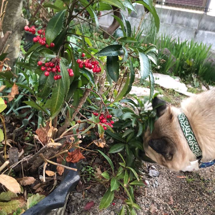 37a10039 912a 4660 9f2f 37a2dd462851 1608728980521