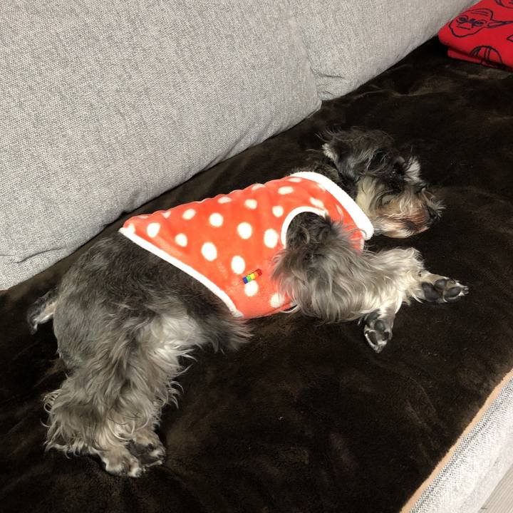 37a138af a611 4e10 bd4d 15c77dea64c0 1587178401566