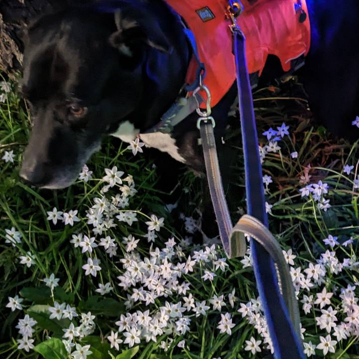 37a1dfe3 9ebc 4095 8668 58a6dd3398d7 1713096332720