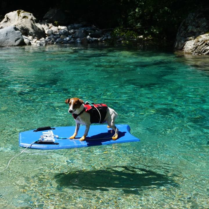 37a1e3de e936 43a2 864a df566971db81 1531575790602