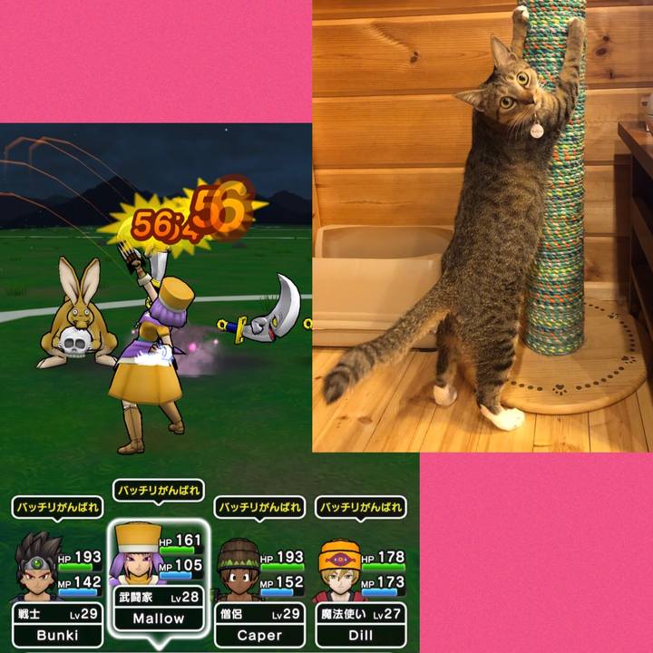 37a1fbd3 0d32 4ea2 af04 cdf7945c87ef 1587724585002