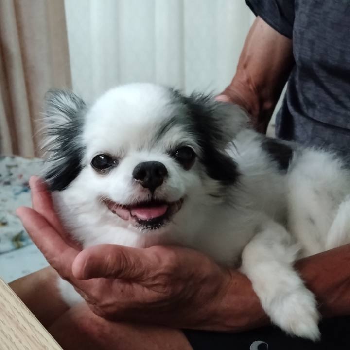 37a202c4 a6ff 4773 846a 79e37bffacef 1763293619945