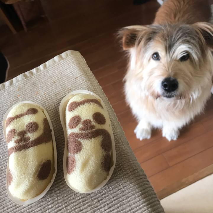 37a23efb 9e0d 4343 b525 5a59b335ed0c 1647822524296