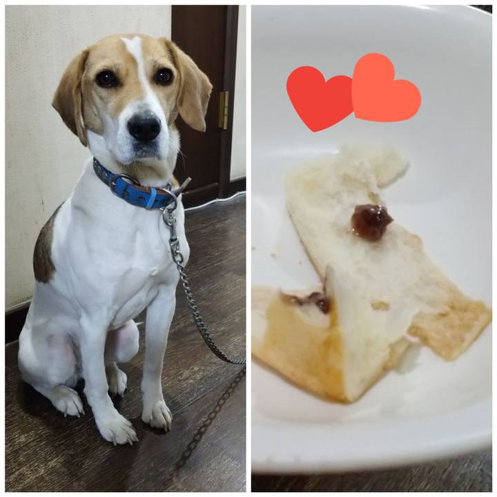 37a24a40 ef39 4f23 87a8 e51f62c743d9 1609919150070