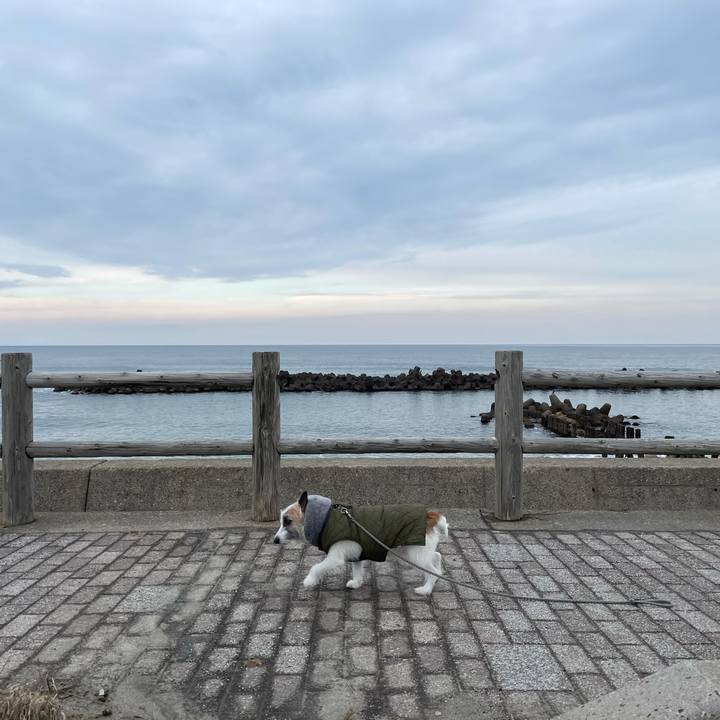 37a24d61 c3ca 4a6c a7c1 04a88abb6cee 1611446391618