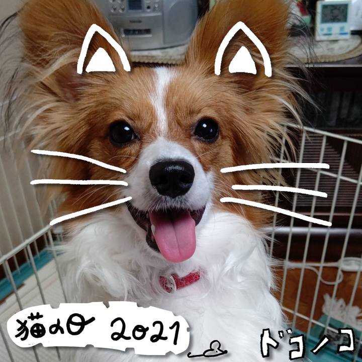 37a2f572 5f2a 41b2 8067 b20aa9a596dc 1613991227212