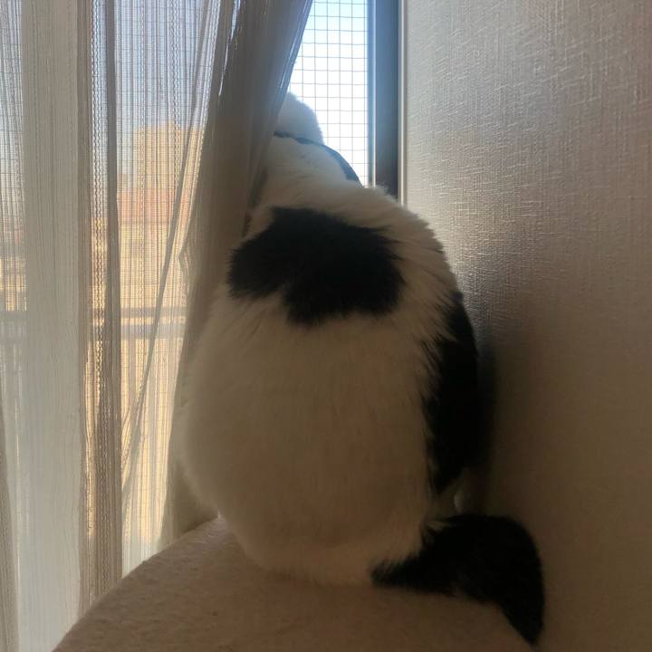 37a2fbc2 aa34 4cba a80a 4840b3bfbca7 1581031940384