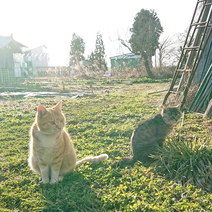 37a307cd 4436 4c74 910c c898bb9a7504 1582960536817