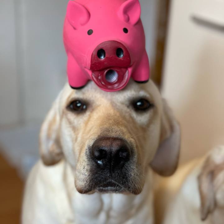 37a31ce1 a31a 42cb a16f ebbaaeffcedf 1664613101066