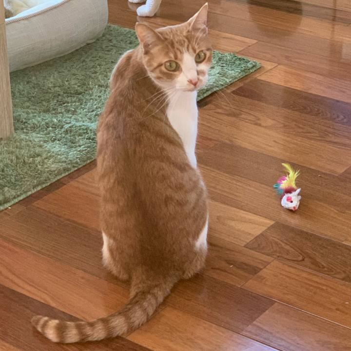 37a31ebe ad7b 4b1a 8e02 60e445ac9dc0 1584220343390