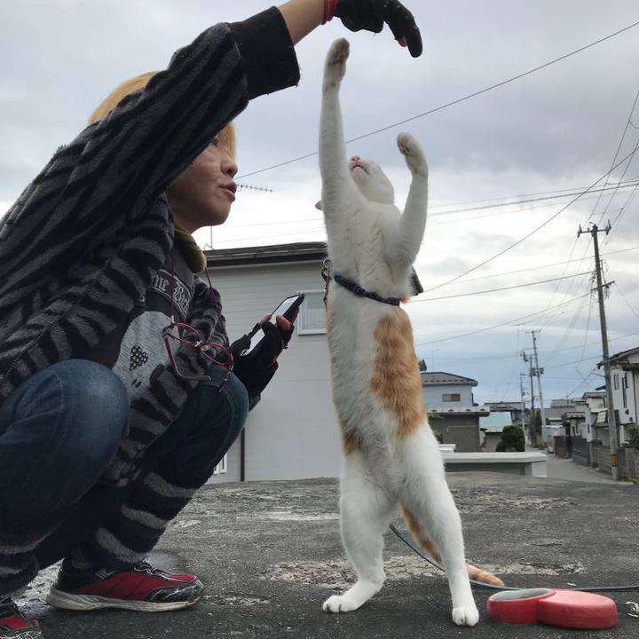 37a321ff a375 4395 a1f1 294e07c5a4cd 1508075475236