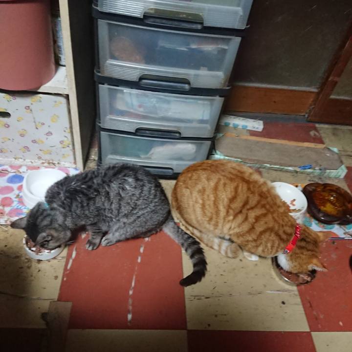 37a3364b cbef 411d 9cec 115dd47f7714 1577393423146