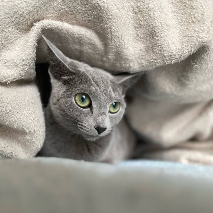 37a33a82 4c6d 4029 976a cf1bf5c660b5 1644567719606