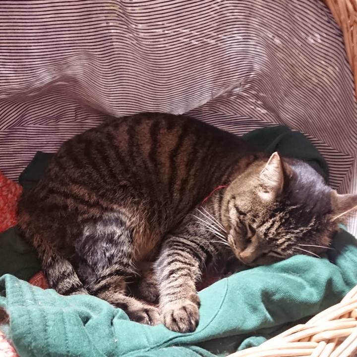 37a3532f adcb 4901 917e cda7a3f2e648 1642941309374