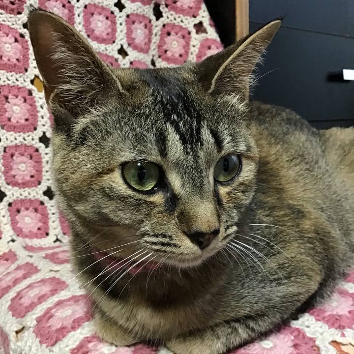 37a37973 c12c 41d5 af22 ed789334d650 1593339152409