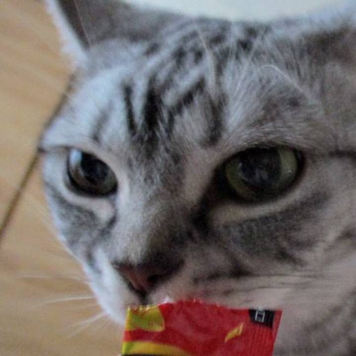 37a381c4 389d 4bc4 a664 29c7a10fee5d 1716335124685